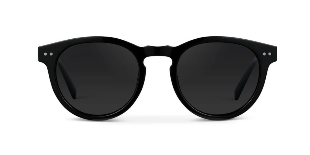 Eclipse Retro Round Polarized Sunglasses