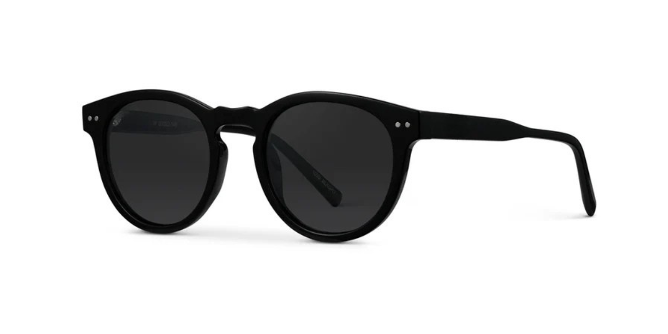 Eclipse Retro Round Polarized Sunglasses