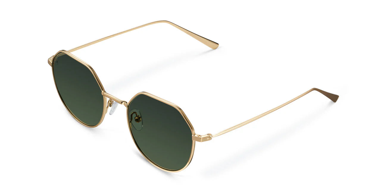 Eclipse Gold Carbon Polarized Sunglasses